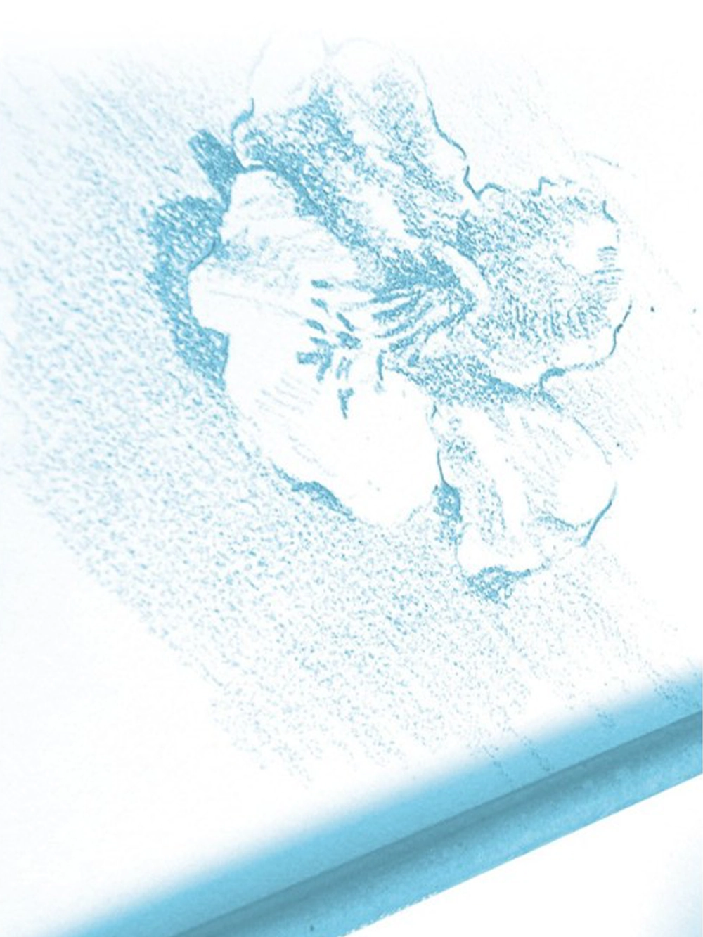 Clairefontaine Dessin A Grain Çizim Blok 224 g A3 20 Yaprak